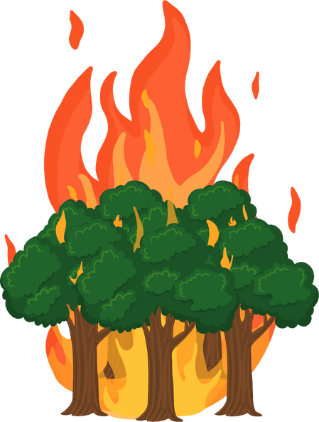 Forest Fire illustration